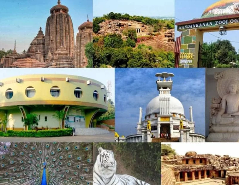 Bhubaneshwar Puri Chilka Tour