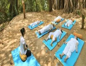 Munnar Thekkady Kumarakom Nature and Ayurveda Wellness Tour