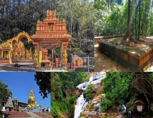 Srilanka Tour Package