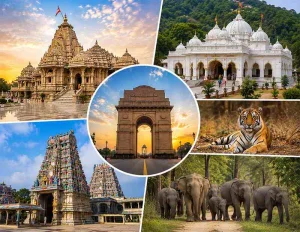 Temples & Wildlife Tour from Delhi