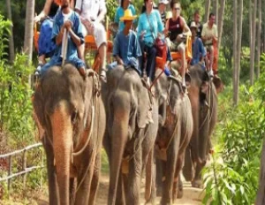 Hills and Wildlife of Uttarakhand