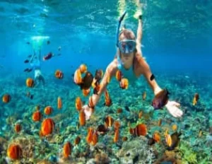 Glimpse of Andaman Tour