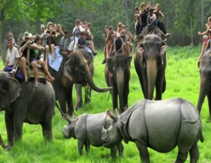 Guwahati - Shillong - Mawlynnong - Kaziranga NP - Kohima Tour