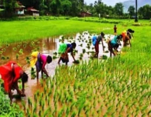 North India Agriculture Tour