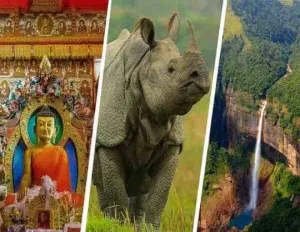 Assam and Meghalaya Tour
