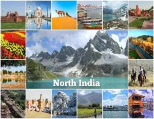 Best of North & South India Tour