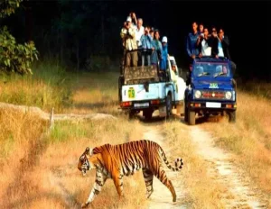 Golden Triangle & Wildlife Tour