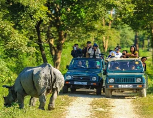 Guwahati Shillong Kaziranga Tour