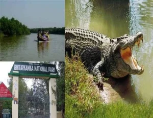 Incredible Odisha Tour