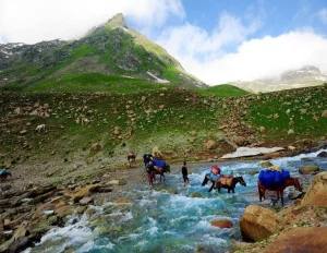 Kashmir Great Lakes Trek Tour
