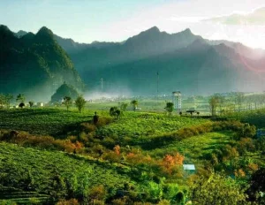 Kerala Winter Package