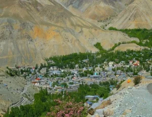 Ladakh Kargil Tour Package