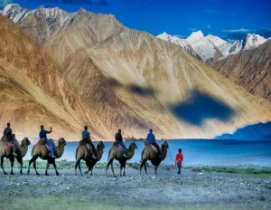 Leh Nubra Pangong Lake Tour