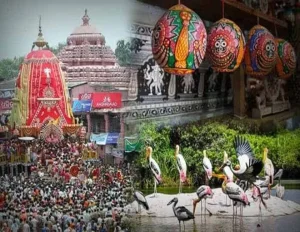 Paradise Puri Tour
