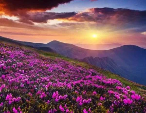 Valley of Flowers Trek with Hemkund Sahib