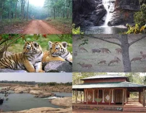 Wildlife Similipal Tour
