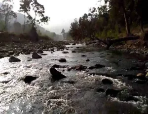Wild Treasure Satkosia Tour